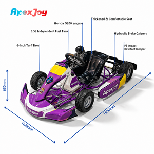 ApexJoy SUPER 4 Sport - Super <span class=keywords><strong>Kart</strong></span> de 225cc para Diversión de Fin de Semana, Freno de Disco Hidráulico, Tanque de Combustible de 6.5L, 11.5Nm, 8HP, 4 Tiempos, Oferta Familiar - Product Image 4