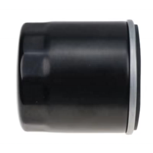 <span class=keywords><strong>Filtre</strong></span> <span class=keywords><strong>à</strong></span> <span class=keywords><strong>huile</strong></span> OEM 1012110-E06-A1 compatible avec Great Wall Racing Bell/Wingle 3/5, élément filtrant <span class=keywords><strong>pour</strong></span> voiture - Product Image 2