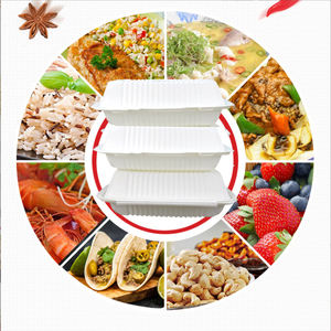 Contenitore per pranzo in carta biodegradabile ecologico a buon mercato con coperchio di canna da zucchero bagassa cibo <span class=keywords><strong>7x5</strong></span> scatola di conservazione degli alimenti - Product Image 6