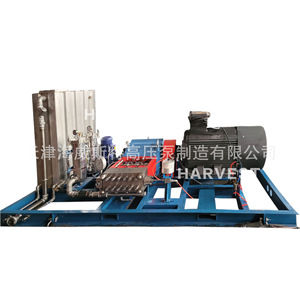 Pompe de détartrage haute pression Whale Card HW200 en acier inoxydable 316, entraînée par moteur, pour le nettoyage métallurgique - Product Image 5