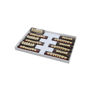 ฟันเรซิ่น ฟันปลอมขนาดเต็ม หลายแบบ สำหรับทำฟันปลอมทางทันตกรรม - Product Image 6