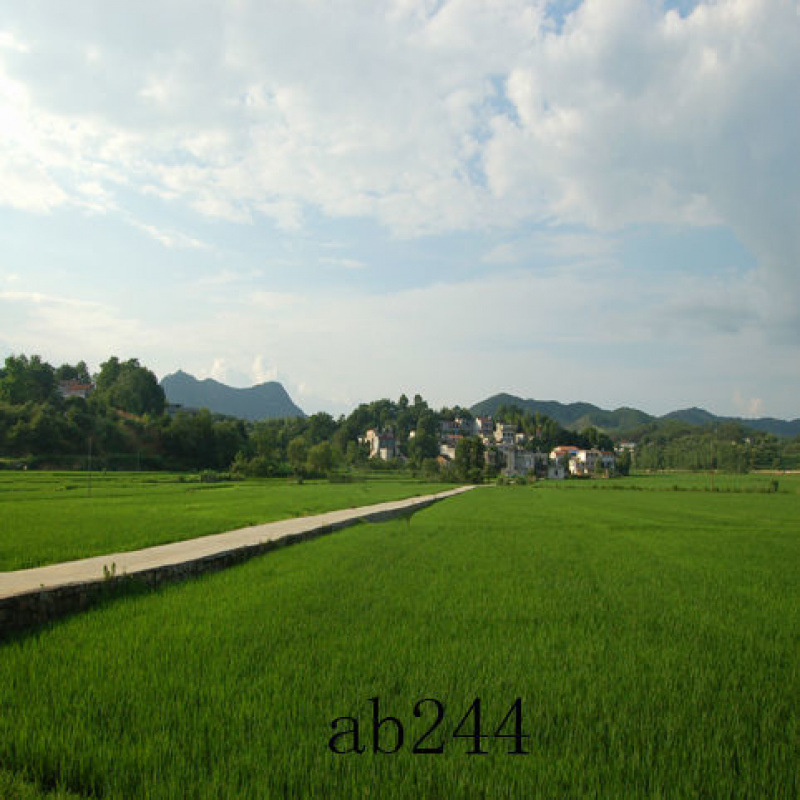 ab244--Dongxu