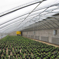 Film plastique agricole, système hydroponique pour tomates, structure de tunnel, cadre de serre agricole en polycarbonate