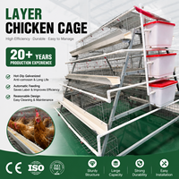 Nouvelle Cage Automatique pour Poules Pondeuses – Équipement Commercial d'Élevage en Acier Galvanisé avec Alimentation Automatique pour l'Industrie