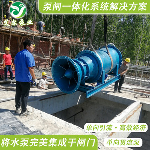 Bomba Sumergible de Tipo Pasajero Completo para Riego y Control de Inundaciones - Product Image 3