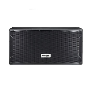 Caisson de basses professionnel commercial de haute qualité 4ohm STX-828S Double performance de scène à grande échelle extérieure de 18 pouces à haut rendement - Product Image 5