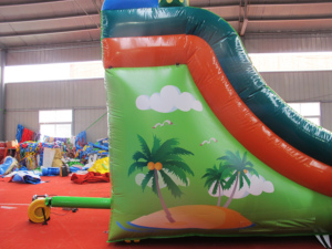 Dongyuan Park Play لعبة ملاهي تجارية منزلقات جافة داخلية قلعة قابلة للنفخ للأطفال - Product Image 5