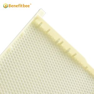 Thiết Kế Mới Liền Mạch Nhựa Bee Khung Với Nền Tảng Lược Khung Nhựa Bee - Product Image 4