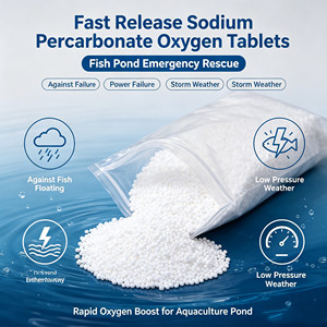 Comprimés d'oxygène à libération rapide HS pour la pisciculture : solution d'urgence en cas de panne de courant, tempête ou basse pression atmosphérique - Product Image 3