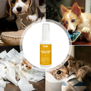 Produk baru semprotan perawatan hewan peliharaan <span class=keywords><strong>Anti</strong></span> mengunyah semprotan untuk anjing & kucing terhadap mengunyah pelatihan pencegah tidak mengunyah semprotan <span class=keywords><strong>Anti</strong></span> kunyah - Product Image 3