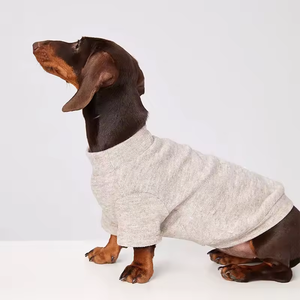Sudadera de Color Sólido para Mascotas |   Ropa de Invierno Cálida y Cómoda para Gatos, Perros y Mascotas Pequeñas como Dachshund y Bichón Frisé - Product Image 1