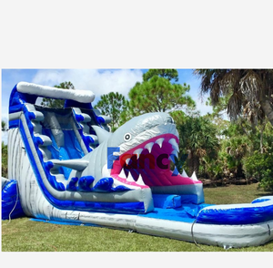 Glissières à choix chaud CE/toboggan de piscine privé/toboggan aquatique <span class=keywords><strong>gonflable</strong></span> avec piscine pour enfant et fête à vendre - Product Image 3