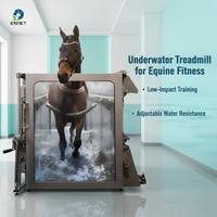Tapis roulant d'hydrothérapie sous-marine professionnel EURVET pour chevaux - Utilisation chirurgicale - Équipement vétérinaire réutilisable pour grands animaux