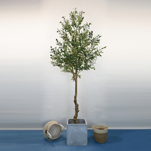 Arbre <span class=keywords><strong>d</strong></span>'<span class=keywords><strong>olivier</strong></span> artificiel dense <span class=keywords><strong>d</strong></span>étachable de 210 cm - Plante artificielle en pot avec fruits noirs pour la <span class=keywords><strong>d</strong></span>écoration de la maison, du bureau et du salon - Product Image 1