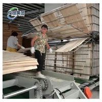 Machine automatique de séchage de placage de contreplaqué de type rouleau de séchoir de placage de bois avec le dessiccateur de ceinture de maille de prix concurrentiel