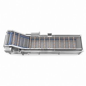 เครื่องล้างกล้วยและมะม่วงแบบฟองอากาศ JOYSHINE ขายดีในฟิลิปปินส์ - Product Image 2
