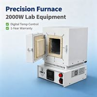 Tungku presisi Lab gigi dengan daya 2000W & tampilan Digital untuk penghapusan lilin dan pengecoran Sintering