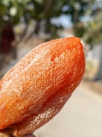 Vente en gros de kakis séchés chinois 100% naturels, frais et très demandés, collation sucrée