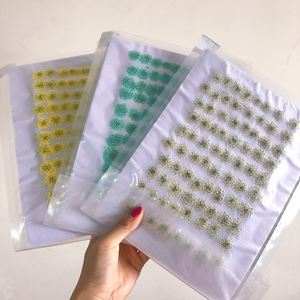 Fleurs séchées pressées naturelles de Queen <span class=keywords><strong>Anne</strong></span>'s Lace pour la résine, la bijouterie DIY, les loisirs créatifs et les fournitures pour le nail art - Product Image 5