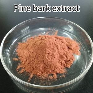 Estratto di corteccia di pino Pinus Pinaster estratto di corteccia <span class=keywords><strong>95%</strong></span> OPCs - Product Image 6