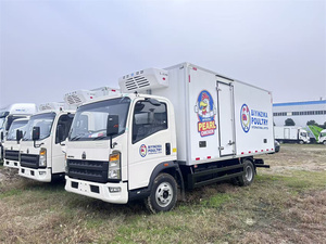 Camión de Transporte de Pollitos Recién Nacidos 4x2 con Volante a la Izquierda, Camión Aislado para Ganadería y Aves de Corral, Gran Oferta - Product Image 4