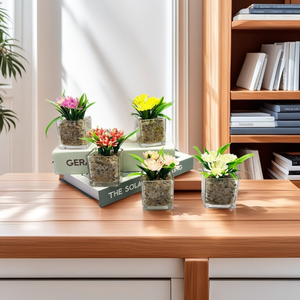 Venta al por mayor en vivo Mini planta suculenta maceta de estilo rural de cerámica esmaltada con maceta de <span class=keywords><strong>madera</strong></span> y vidrio de alta garantía decoración del hogar - Product Image 6