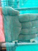 Filet d'ombrage en HDPE ignifuge et anti-oxydation, à filaments ronds, pour serres, agriculture et construction