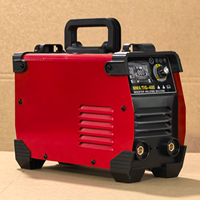 Machine à souder portative personnalisable 110V/220V, soudeuse portable MMA-400