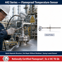 Thermocouple RTD blindé anti-explosion Huadong modèle 442, entretien en ligne, certifié Exd IIB/IIC pour zones dangereuses