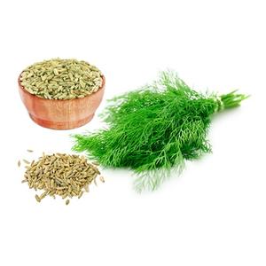 Épice aromatique naturelle de graines de fenouil de haute qualité utilisée pour la préparation des aliments et l'amélioration de la saveur dans les repas réguliers - Product Image 6