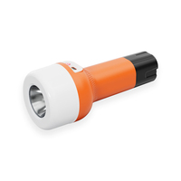 Lanterne solaire de camping avec lampe torche 2400mAh 21 LED, rechargeable par Type-C, lumière d'urgence avec panneau solaire
