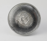Lampe chauffante infrarouge en aluminium 175W/250W/275W 24V pour porcs et poulets, durable, fabriquée au Guangdong