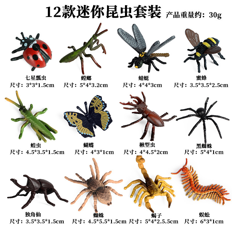KZ Mini Insecte 12 ensembles