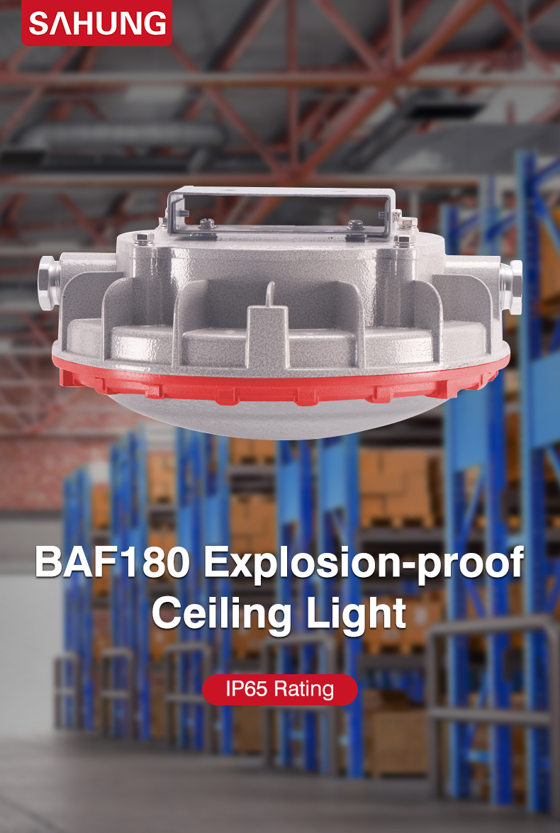 ATEX Pompa Bensin IP65 10W 20W 30W 40W 50W 60W Led Tahan Ledakan Teluk Tinggi 