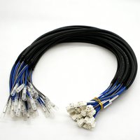 Harness Kabel Kustom Bersertifikasi CE ROHS, Konektor XH Putih Dua Sisi, Kabel PVC Biru Abu-abu untuk Perangkat Kontrol Elektronik