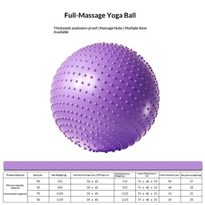 Balón de Yoga de Alta Calidad para Ejercicio, Balón de Fitness con Bomba - Product Image 1
