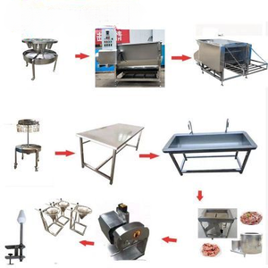 Máquina Inteligente Automática para Sacrificio de Pollos Pequeños, Equipo Integrado para Sacrificio de Aves de Corral - Product Image 6