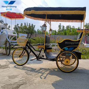 Bicicletas eléctricas Bicicleta de pedal humano Bicicleta de paseo familiar Bicicleta de ciclismo Taxi/Triciclo de tres ruedas Pedicab eléctrico Rickshaw - Product Image 6