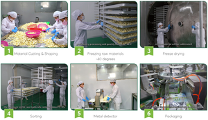 100% Frutas de mezcla liofilizadas en rodajas dulces originales de Vietnam 24 meses de vida útil Proceso de secado FD Listo para comer Empaquetado a granel - Product Image 6