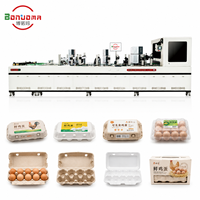 Máquina de Impresión Digital de Inyección de Tinta para Cartones de Huevos, Cajas de Espuma, Bandejas de Papel y Embalajes de Pulpa con Impresión Superior y Lateral