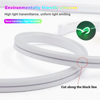 Bandes lumineuses LED néon RGBIC intelligentes avec contrôle musical par application, 24V 3535 96 LED/m, étanches IP65, kit complet pour la décoration de chambres et de fêtes
