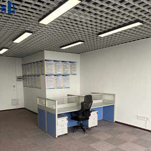 Material de Decoración <span class=keywords><strong>para</strong></span> Techo Suspendido, Rejilla Perforada Transparente e Impermeable, Estilo Industrial Moderno <span class=keywords><strong>para</strong></span> Oficina Abierta, con Recubrimiento en Polvo - Product Image 4