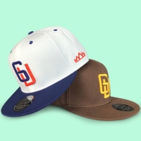 Casquettes Snapback de Sport Ajustées en Coton Classique à 6 Panneaux de Haute Qualité avec Logo Personnalisé pour Hommes