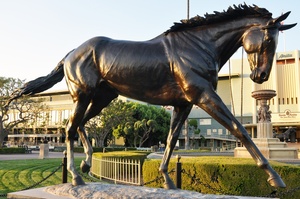 <span class=keywords><strong>Precio</strong></span> de fábrica Venta caliente bronce árabe caballo jardín estatua escultura para Decoración - Product Image 6