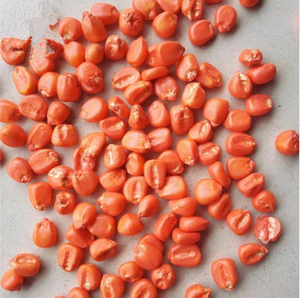 Chất Phủ Hạt Nhuộm Chất Phủ Hạt Bột Màu Đỏ Chất Phủ Hạt Màu Đỏ Hồng - Product Image 3