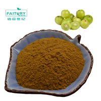Extrait de phyllanthe orga, poudre d'extraction, amla, 50 ml