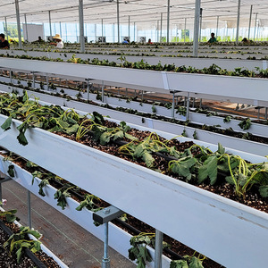 Serre agricole multi-chapelles en verre de grande taille avec contrôle de la température et caractéristiques écologiques pour la reproduction de semences et les expositions - Product Image 5
