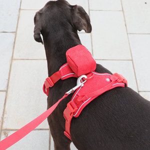 Set di guinzagli per cani di grossa taglia regolabili di qualità OEM set di guinzagli per cani riflettenti personalizzati senza trazione con <span class=keywords><strong>nome</strong></span> personalizzato - Product Image 2
