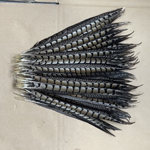 Plumas de Faisán Lady Amherst de 35-40cm al por Mayor, Plumas Naturales para Decoración de Fiestas de Carnaval, Centros de Mesa - Product Image 6