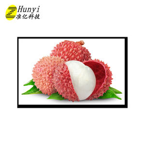 אור השמש 10.1 לודים אינץ 'תצוגה 1280x800 פיקסלים נוף בפורמט <span class=keywords><strong>tft</strong></span> <span class=keywords><strong>lcd</strong></span> מודול - Product Image 3